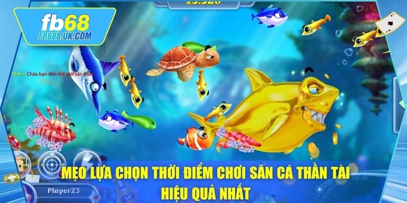 Mẹo lựa chọn thời điểm chơi săn cá thần tài hiệu quả nhất