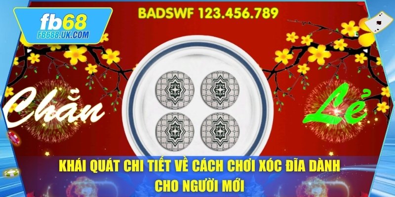 Khái quát chi tiết về cách chơi xóc đĩa dành cho người mới