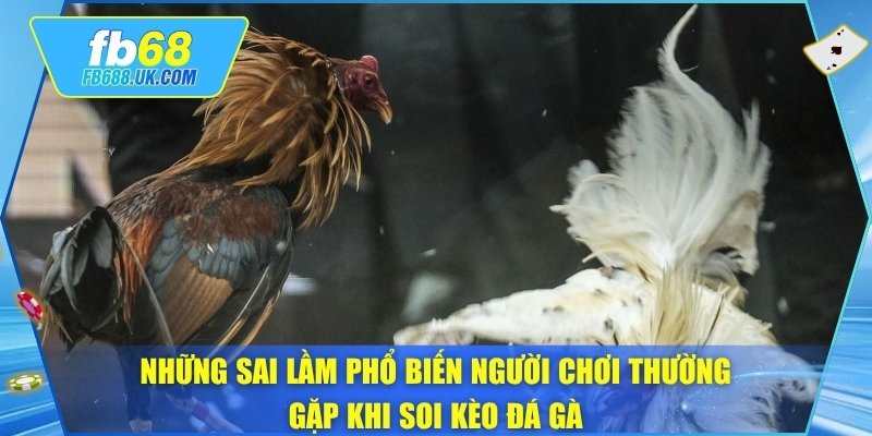 Những sai lầm phổ biến người chơi thường gặp khi soi kèo đá gà